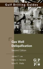 book Gas well deliquification