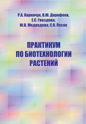 book Практикум по генетической инженерии и молекулярной биологии растений