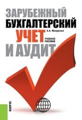 book Зарубежный бухгалтерский учет и аудит