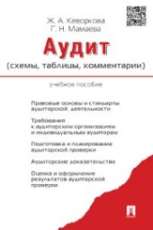 book Аудит (схемы, таблицы, комментарии)