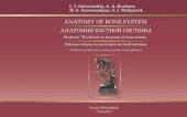 book Анатомия костной системы: рабочая тетрадь к учебному пособию