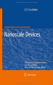 book Nanoscale devices: fabrication, functionalization, and accessibility from the macroscopic world