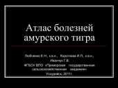 book Атлас болезней амурского тигра