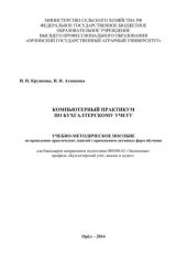 book Компьютерный практикум по бухгалтерскому учету: учебно-методическое пособие по проведению практических занятий с применением активных форм обучения для бакалавров направления подготовки 080100.62 «Экономика» профиль «Бухгалтерский учет, анализ и аудит»