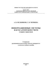 book Информационные системы в бухгалтерском учете (теория и практика)