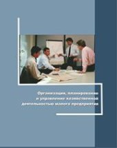 book Организация, планирование и управление хозяйственной деятельностью малого предприятия