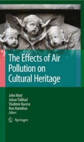 book The effects of air pollution on cultural heritage