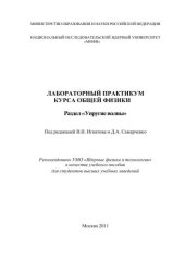 book Лабораторный практикум курса общей физики. Раздел "Упругие волны": учебное пособие для вузов