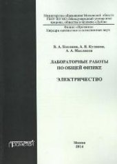 book Лабораторные работы по общей физике. Электричество: методическое пособие