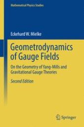 book Geometrodynamics of Gauge Fields: On the Geometry of Yang-Mills and Gravitational Gauge Theories