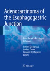 book Adenocarcinoma of the Esophagogastric Junction: From Barrett's Esophagus to Cancer