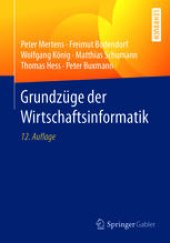 book Grundzüge der Wirtschaftsinformatik