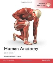 book Human anatomy