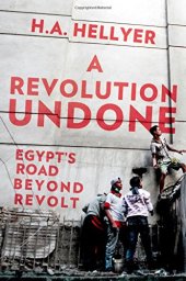 book A revolution undone : Egypt's road beyond revolt