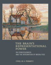 book The brain ’ s representational power : on consciousness and the integration of modalities