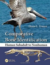 book Comparative bone identification : human subadult to nonhuman