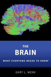 book The brain : what everyone needs to know