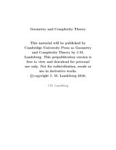 book Geometry and Complexity Theory [draft]