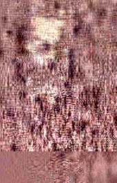 book Симфоническая музыка Чайковского: Избранные произведения