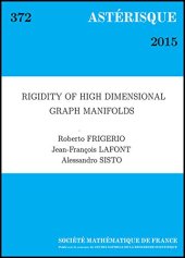 book Rigidity of High Dimensional Graph Manifolds