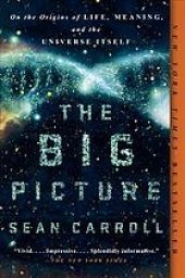 book The big picture : on the origins of life, meaning, and the universe itself