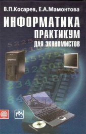 book Информатика.  Практикум для экономистов