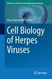 book Cell Biology of Herpes Viruses