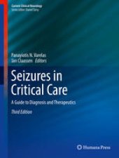 book Seizures in Critical Care: A Guide to Diagnosis and Therapeutics