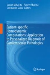 book Patient-specific Hemodynamic Computations: Application to Personalized Diagnosis of Cardiovascular Pathologies