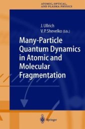 book Many-Particle Quantum Dynamics in Atomic and Molecular Fragmentation