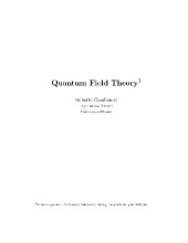 book Lectures on quantum field theory