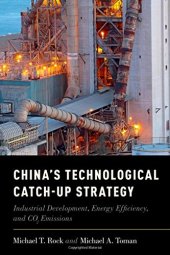 book China's technological catch-up strategy : industrial development, energy efficiency, and CO2 emissions