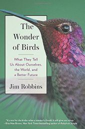 book The Wonder of Birds: What They Tell Us About Ourselves, the World, and a Better Future