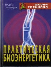 book Практическая биоэнергетика