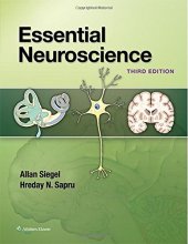 book Essential Neuroscience