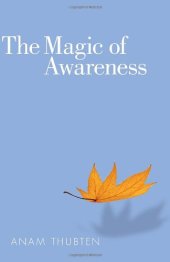 book The Magic of Awareness