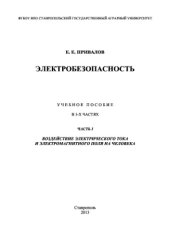 book Электробезопасность. Часть І. Воздействие электрического тока и электромагнитного поля на человека