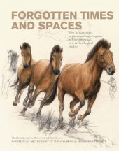 book Forgotten times and spaces : new perspectives in paleoanthropological, paleoetnological and archeological studies