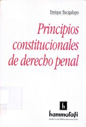 book Principios Constitucionales de Derecho Penal