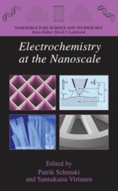 book Electrochemistry at the Nanoscale