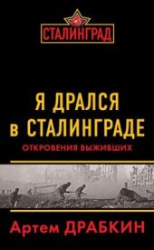 book Я дрался в Сталинграде. Откровения выживших