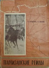 book Партизанские рейды