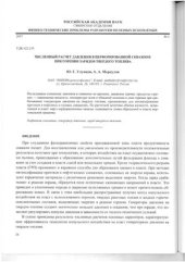 book Численный расчет давления в перфорированной скважине при горении зарядов твердого топлива