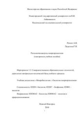 book Геохимическая роль микроорганизмов