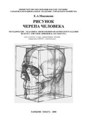 book Рисунок черепа человека