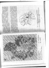 book Основы лесопаркового хозяйства