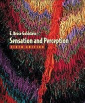 book Sensation and Perception