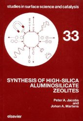 book Synthesis of High-Silica Aluminosilicate Zeolites