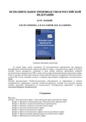 book Исполнительное производство в РФ. Курс лекций