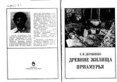 book Древние жилища Приамурья